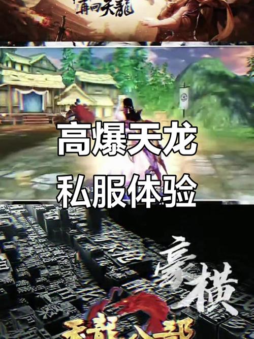 天龙私服网站_天龙私服_天龙私服发布网